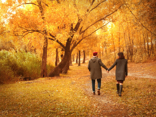 秋のイライラ・頭痛は「気滞（きたい）」かも？